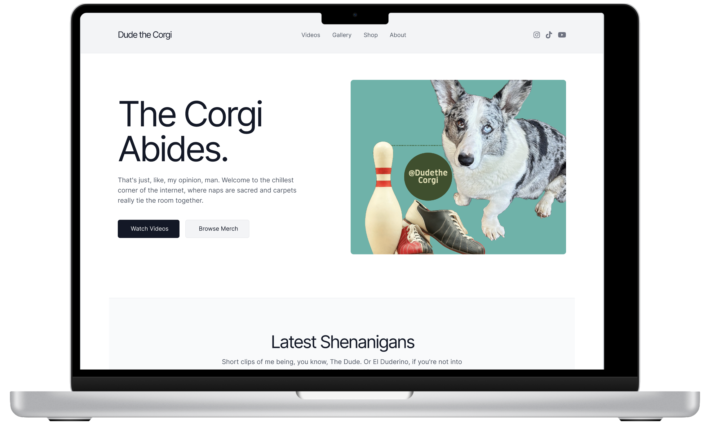 Dude Lebowski website